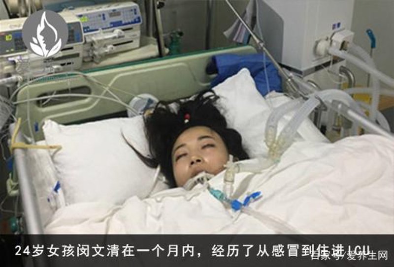文清体检